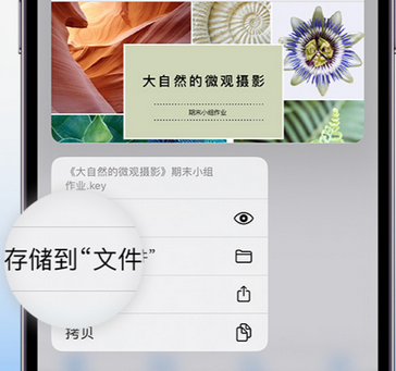 老街街道apple维修中心分享iPhone文件应用中存储和找到下载文件