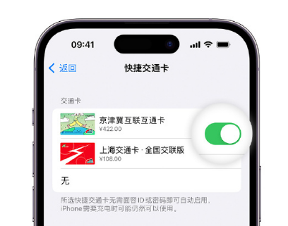 老街街道apple维修点分享iPhone上更换Apple Pay快捷交通卡手绘卡面 