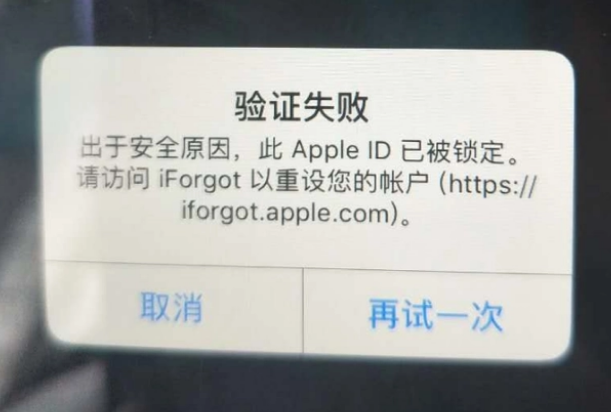 老街街道iPhone维修分享iPhone上正常登录或使用AppleID怎么办 