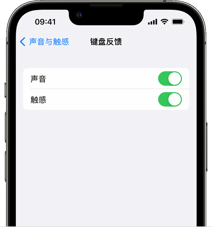 老街街道苹果14维修店分享如何在 iPhone 14 机型中使用触感键盘 