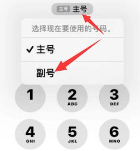 老街街道苹果14维修店分享iPhone 14 Pro Max使用副卡打电话的方法 