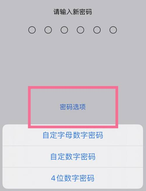 老街街道苹果14维修分享iPhone 14plus设置密码的方法 