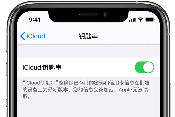 老街街道苹果手机维修分享在 iPhone 上开启 iCloud 钥匙串之后会储存哪些信息 