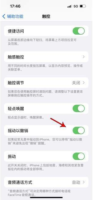 老街街道苹果手机维修分享iPhone手机如何设置摇一摇删除文字 